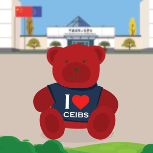 CEIBS-TEDDY